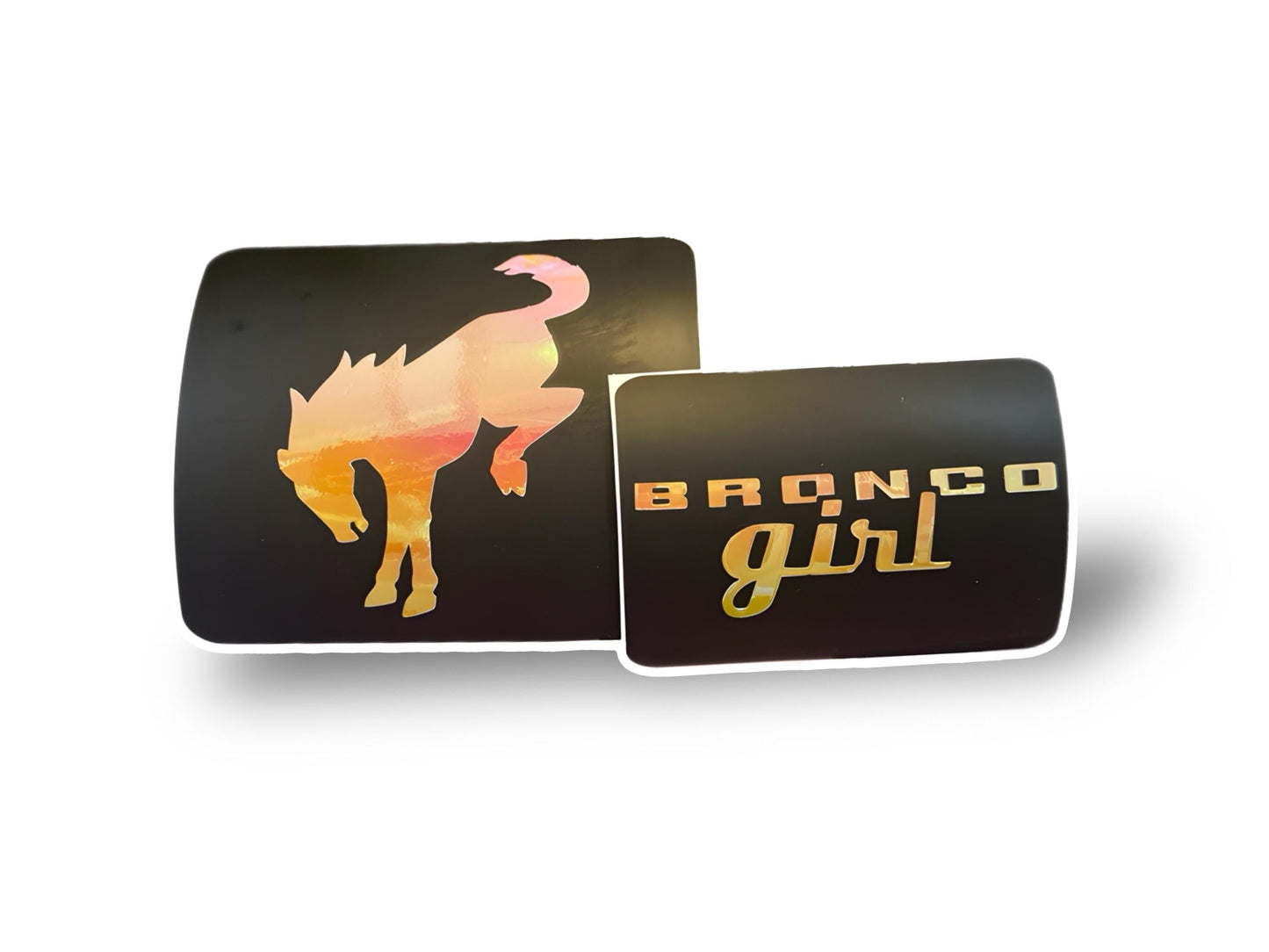 Bronco SunVisor Warning Label Blackouts | set of 3